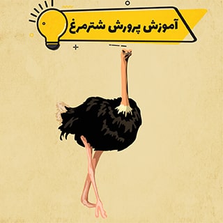 آموزش پرورش شترمرغ