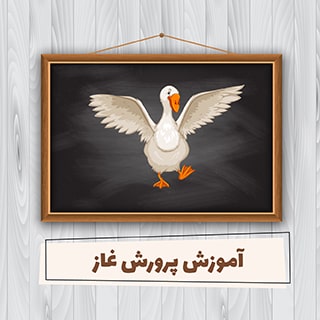آموزش پرورش غاز